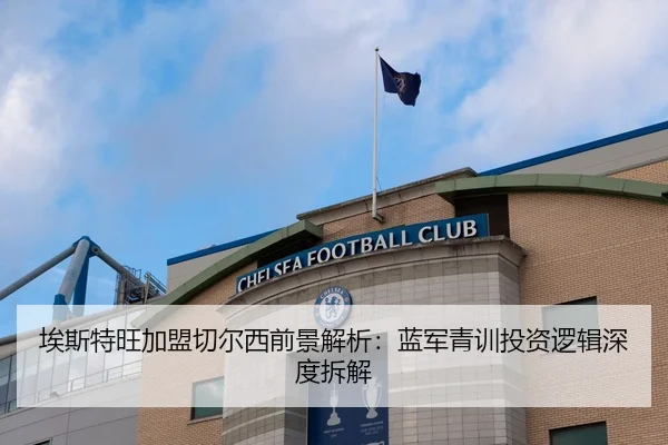 埃斯特旺加盟切尔西前景解析：蓝军青训投资逻辑深度拆解